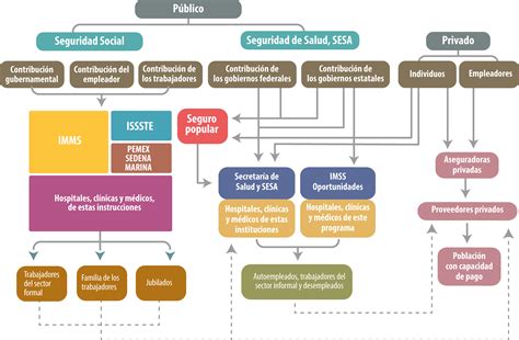Infografía: Estructura del Sistema Nacional de Salud y sus categorías profesionales