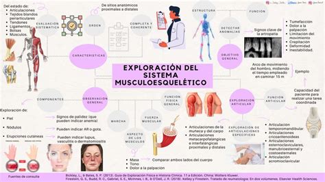 Infografía sobre la exploración física del sistema musculoesquelético en pediatría (pGALS).
