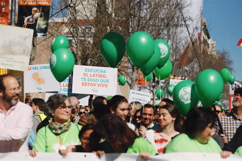 Pancartas y globos verdes de la manifestación provida en Madrid