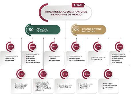 organigrama o diagrama de funciones de la Comisión Nacional de Reproducción Humana Asistida