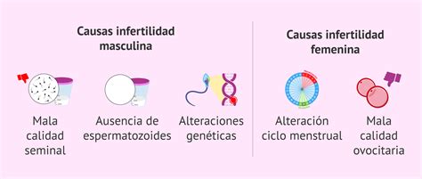 infografía sobre causas de infertilidad masculina y femenina