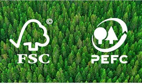 Esquema visual sobre los sellos PEFC y FSC y su importancia en la compra de muebles de madera.