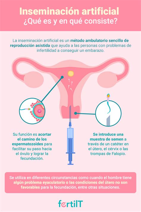 Infografía: Diagrama de flujo del proceso de inseminación artificial en yeguas
