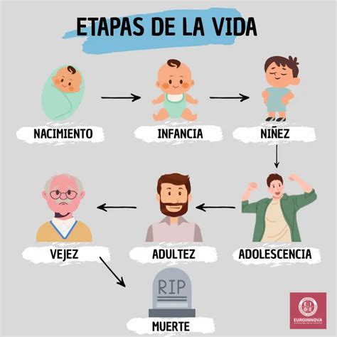 Esquema con las etapas de la vida de la mujer donde Artemisa interviene: niñez, pubertad, matrimonio, parto y muerte. Infografía