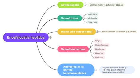 Esquema detallado de la encefalopatía de la prematuridad mostrando la afectación de oligodendrocitos y neuronas