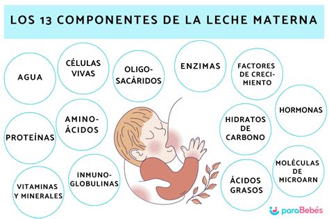 infografía detallando los componentes nutricionales de la leche materna y su aporte al desarrollo infantil