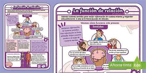 Infografía o esquema sobre la relación entre leche, sangre y esperma en teorías islámicas
