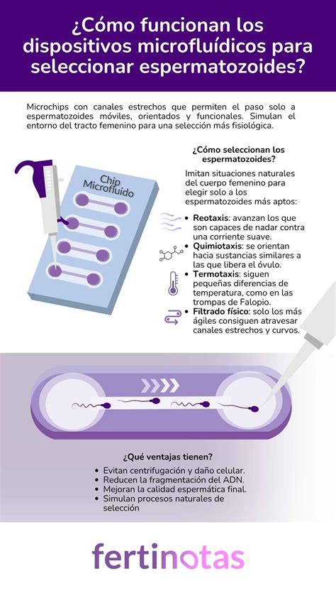 Esquema de un chip de microfluidos para la selección espermática