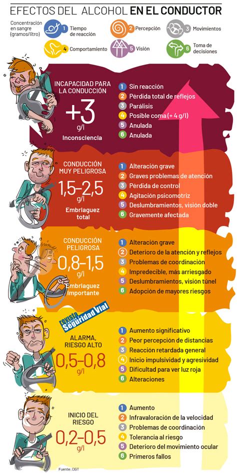Infografía comparativa de los efectos del alcohol en la respuesta sexual masculina y femenina, destacando las diferencias en la erección, lubricación y orgasmo.