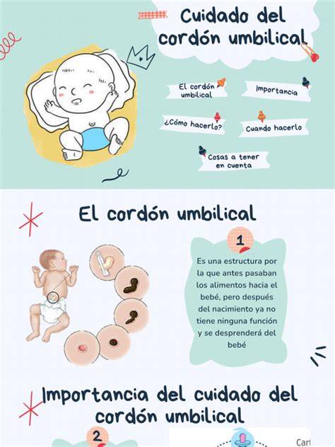 Ilustración del cuidado adecuado del cordón umbilical en potros