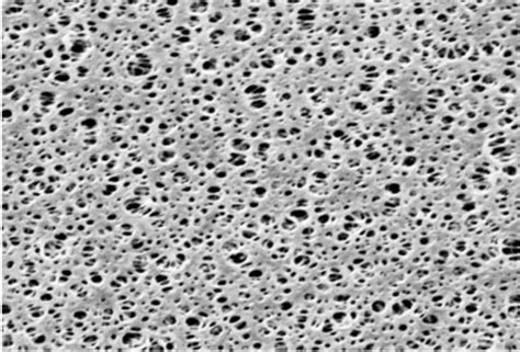 Micrografía SEM de partículas de polisulfona preparadas en VFD.