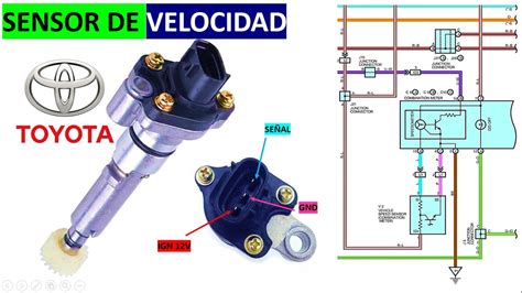 Diagrama de un OECT utilizado como sensor de barrera tisular.