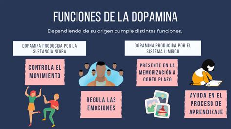 Esquema sobre la liberación de dopamina en el cerebro durante el aprendizaje