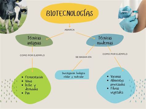 Esquema de la interacción entre biotecnología y fertilización