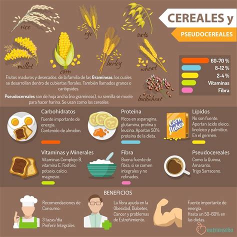 Infografía detallada de los cereales integrales y los nutrientes esenciales presentes en la papilla