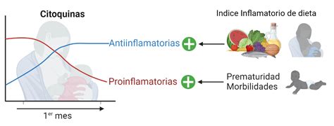 Diagrama que muestra cómo la dieta materna y el estrés pueden influir en la epigenética fetal.