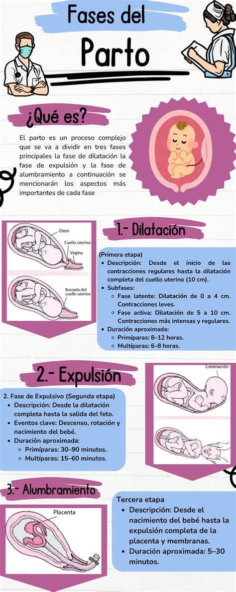 Infografía: Diagrama de las tres fases del sacaleches Nuvita Materno Life (estimulación, extracción, anti-atascos).