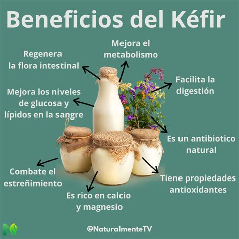 Infografía que detalla los nutrientes del kéfir: calcio, vitamina B12, magnesio, vitamina K2 y probióticos.