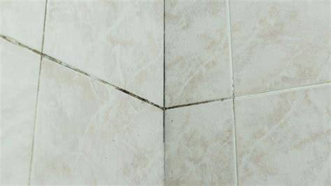 Foto de primer plano de azulejos con juntas sucias y con moho
