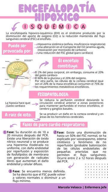 Infografía sobre las causas y consecuencias de la encefalopatía hipóxico-isquémica