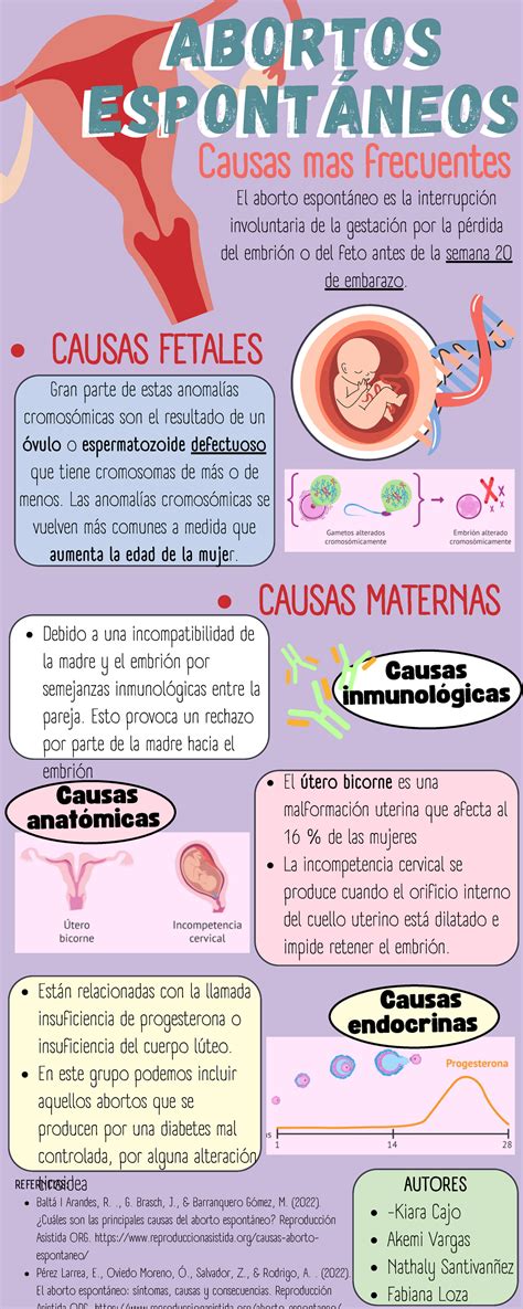 Infografía sobre las causas del aborto espontáneo