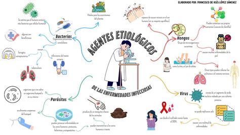 Gráfico o infografía sobre los agentes etiológicos de la bronquiolitis, como el VRS