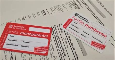 Carnet de familia monoparental o identificación oficial.