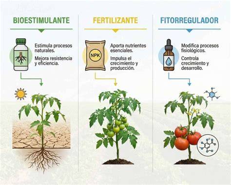 Infografía: Beneficios de bioestimulantes y microorganismos en la agricultura