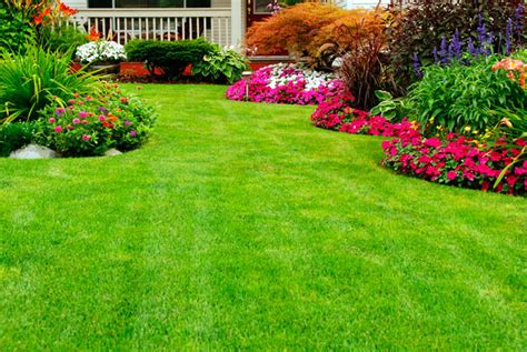 Jardín bien cuidado con flores y césped verde