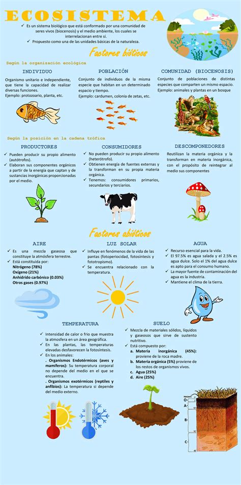 Infografía sobre los factores etiológicos de la RPM