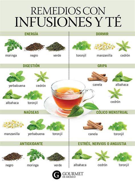 Esquema: Precauciones al consumir diferentes tipos de infusiones durante la lactancia