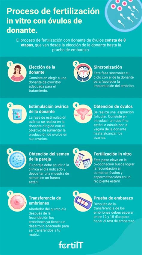 Infografía del proceso de Fecundación In Vitro con DGP: desde la estimulación ovárica hasta la selección de embriones sanos.