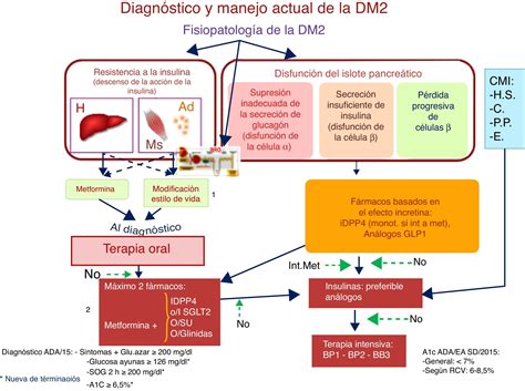 Esquema sobre la fisiopatología de la HF: mutaciones en el receptor de LDL y acumulación de colesterol en sangre.