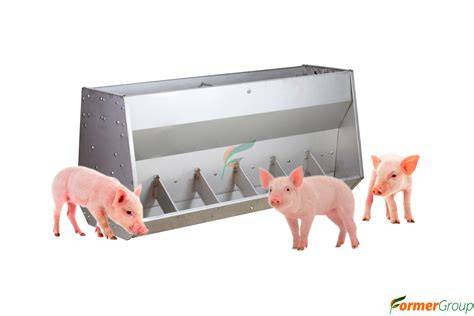 Fotografía de lechones en un ambiente de investigación controlado, con comederos y bebederos.