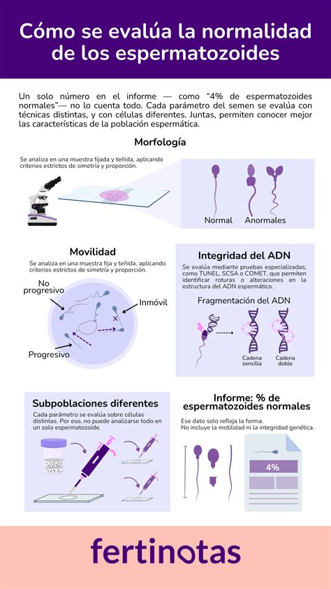 infografía sobre longevidad de espermatozoides y supervivencia de la descendencia en pez cebra