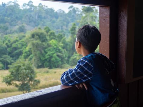 Un adolescente pensativo mirando por la ventana, simbolizando la introspección y los cambios de esta etapa.