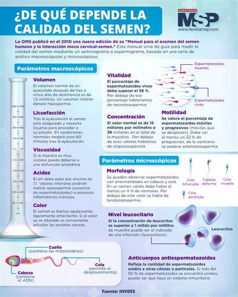 Infografía detallando la composición del semen y los factores que influyen en su sabor.