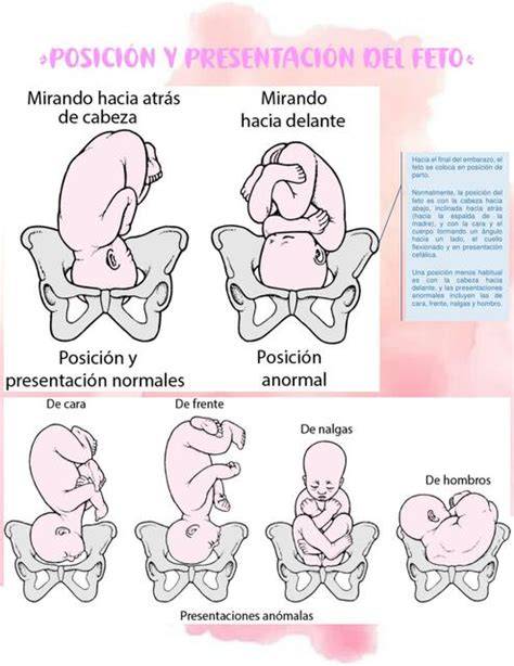 Infografía mostrando la posición en 