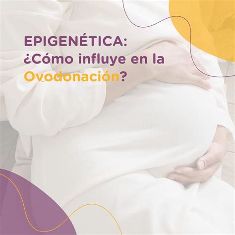 Infografía explicando el concepto de epigenética en el embarazo por ovodonación
