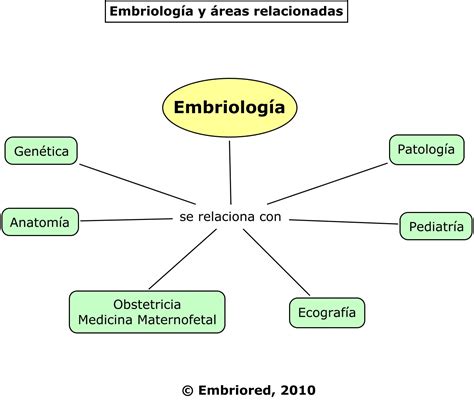 Esquema de las interacciones entre genética, embriología y ética médica