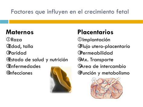 Infografía: factores externos que influyen en el desarrollo fetal (nutrición, estrés, sonidos)