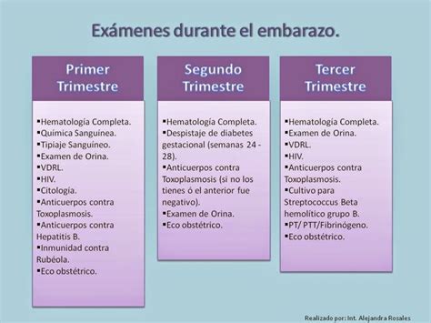 Tabla o infografía de pruebas y controles durante el embarazo por trimestres
