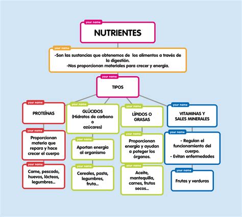 Infografía o esquema de los nutrientes esenciales para cítricos y su rol en la planta