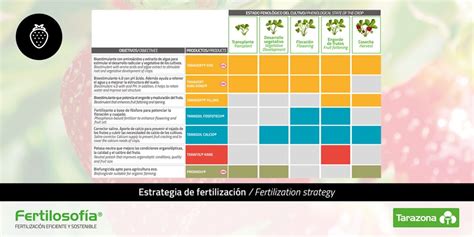 Infografía o tabla del calendario de fertilización de cítricos por meses o estaciones