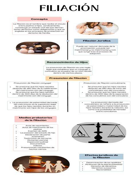 Diagrama de las complejidades legales de la filiación en la subrogación