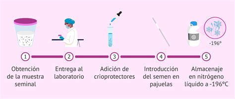 Esquema del proceso de criopreservación de esperma en un banco de semen