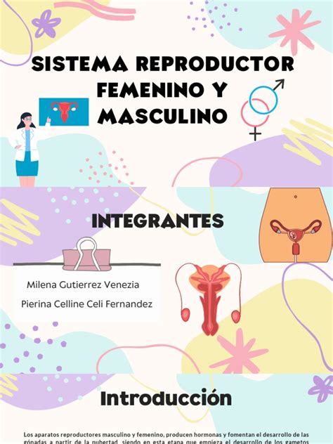 Esquema general del sistema reproductivo masculino y femenino con posibles puntos de infertilidad