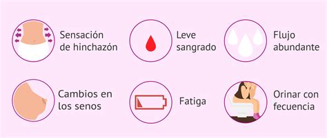 Infografía: Síntomas comunes y su significado en la betaespera