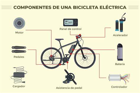 Esquema de una fat bike eléctrica con sus componentes clave resaltados