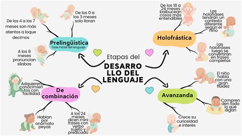 Esquema del desarrollo del lenguaje en el feto